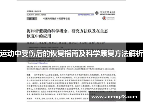 运动中受伤后的恢复指南及科学康复方法解析 运动中受伤后的恢复指南及科学康复方法解析