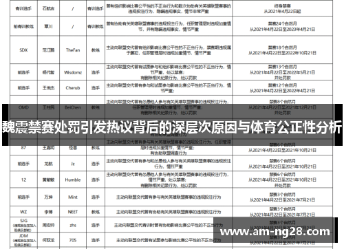 魏震禁赛处罚引发热议背后的深层次原因与体育公正性分析 魏震禁赛处罚引发热议背后的深层次原因与体育公正性分析