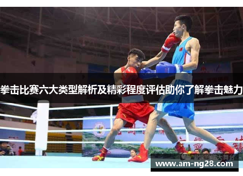 拳击比赛六大类型解析及精彩程度评估助你了解拳击魅力